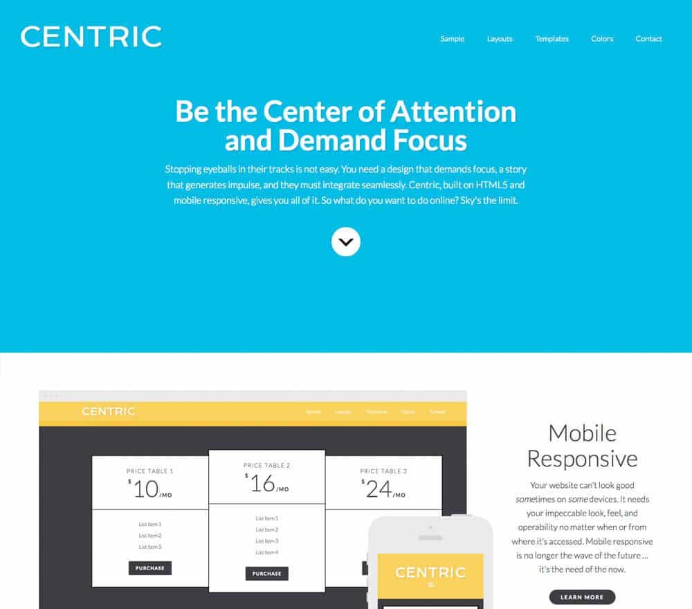 Studiopress Centric Pro Genesis WordPress Theme