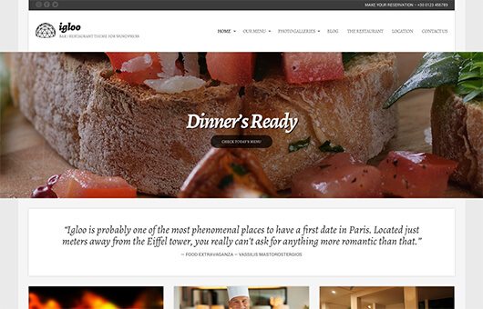 CSSIgniter Igloo WordPress Theme