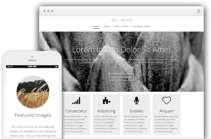 Thrive Themes Minus WordPress Theme