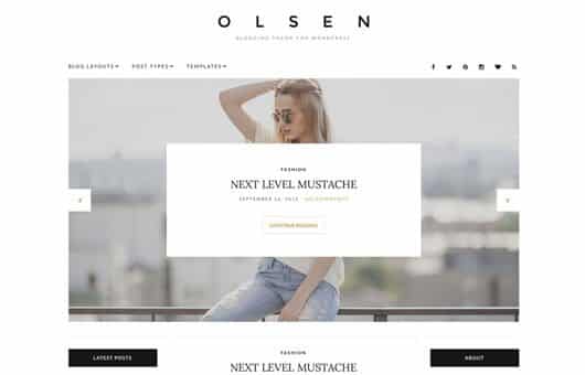 CSSIgniter Olsen WordPress Theme