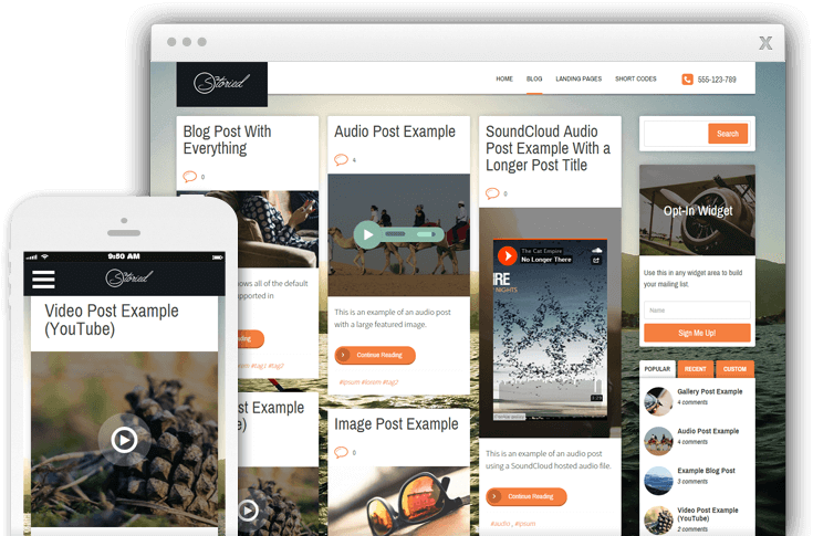 Thrive Themes Storied WordPress Theme