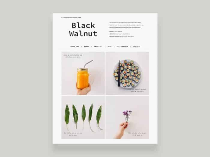 Elmastudio Black Walnut WordPress Theme