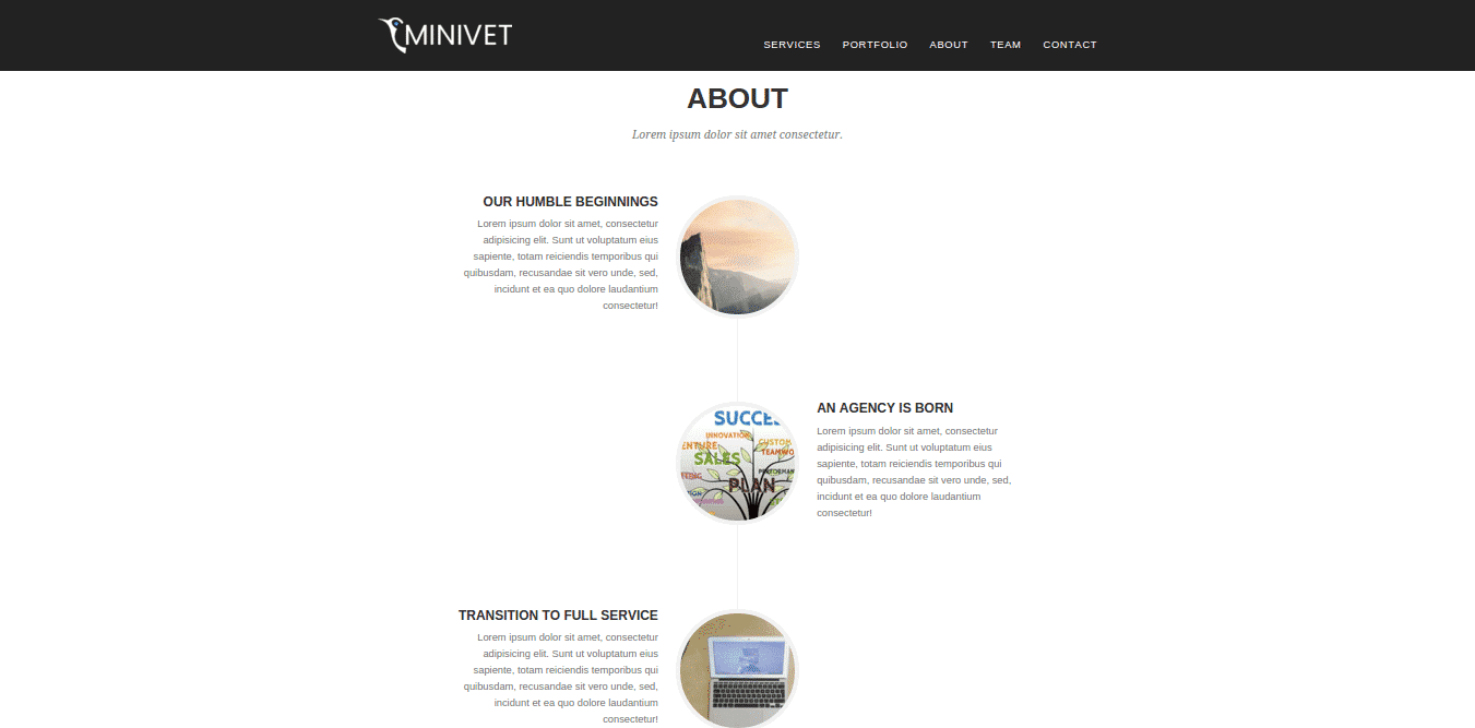 CyberChimps Minivet WordPress Theme