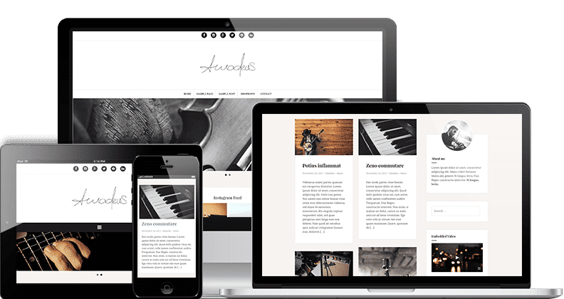 Amadeus Pro WordPress Theme