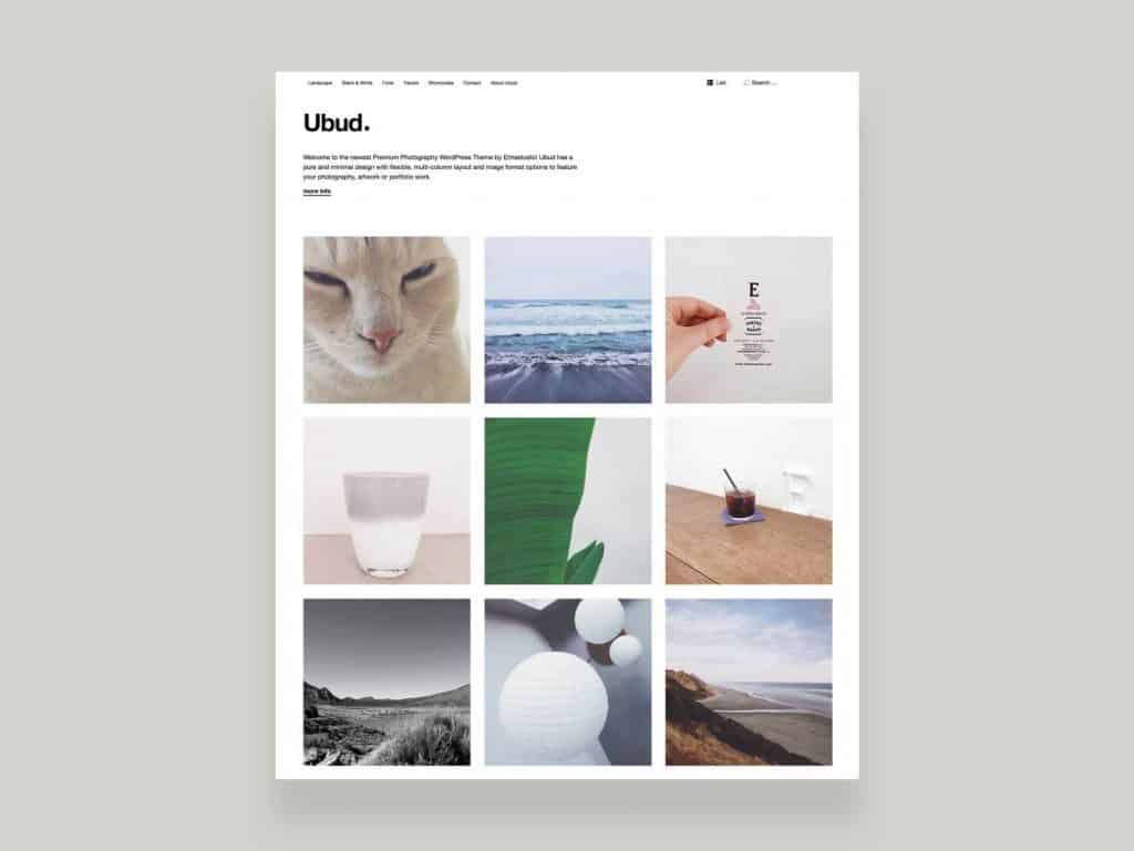 Product Image - Elmastudio Ubud WordPress Theme 1.0.7