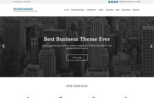 CSSIgniter Business3ree WordPress Theme 2.6.2
