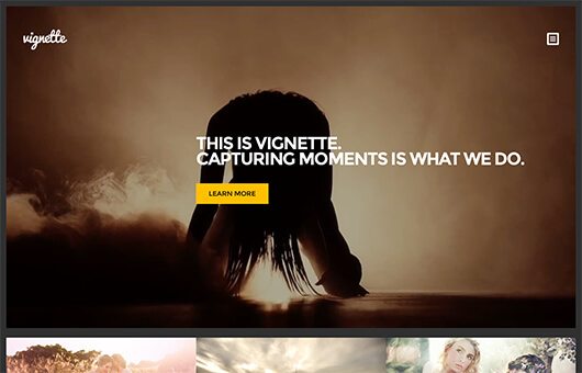 CSSIgniter Vignette WordPress Theme