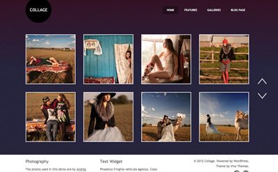 Viva Themes Collage WordPress Theme