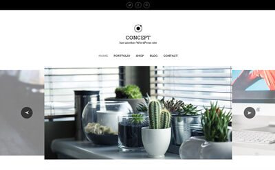Viva Themes Concept WordPress Theme