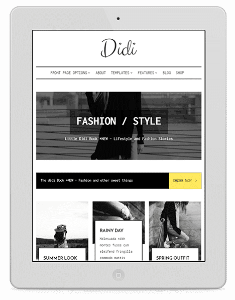 Didi WordPress Theme