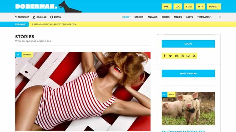 CSSIgniter Doberman WordPress Theme 1.4.2
