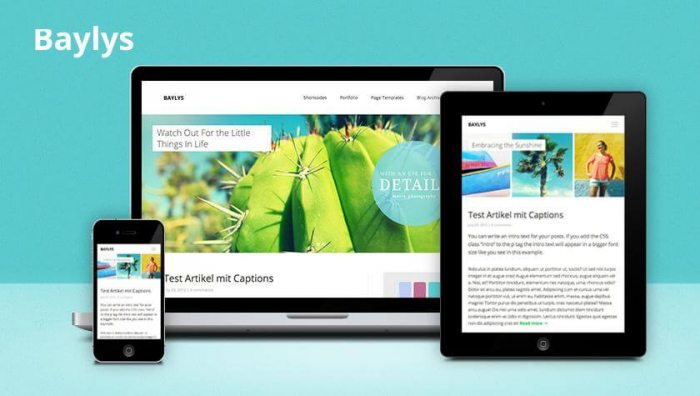 Elmastudio Baylys WordPress Theme
