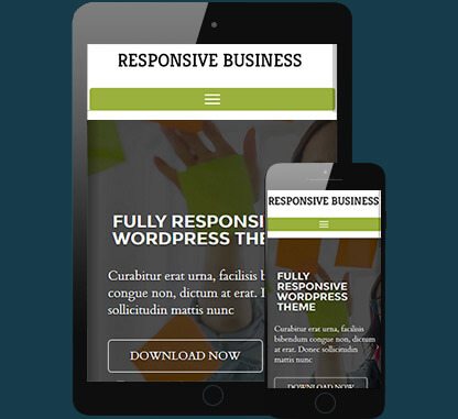 CyberChimps Responsive Business WordPress Theme