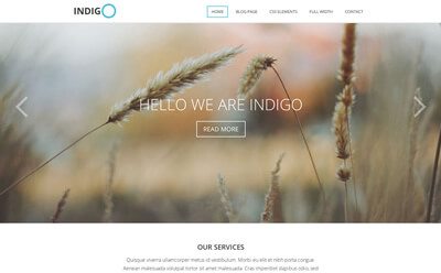 Viva Themes Indigo WordPress Theme