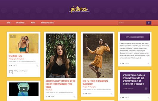 CSSIgniter Pintores WordPress Theme