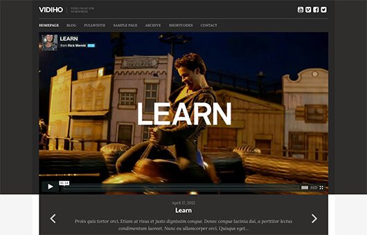 CSSIgniter Vidiho WordPress Theme
