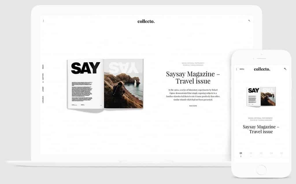 Product Image - Themes Kingdom Collecto WordPress Theme 1.1.3