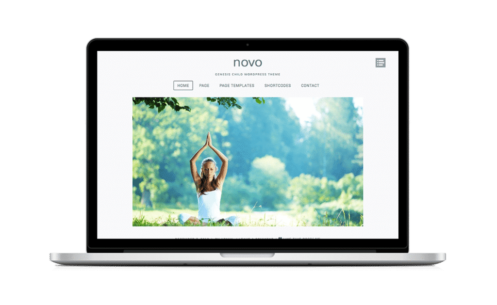 ZigZagPress Novo WordPress Theme