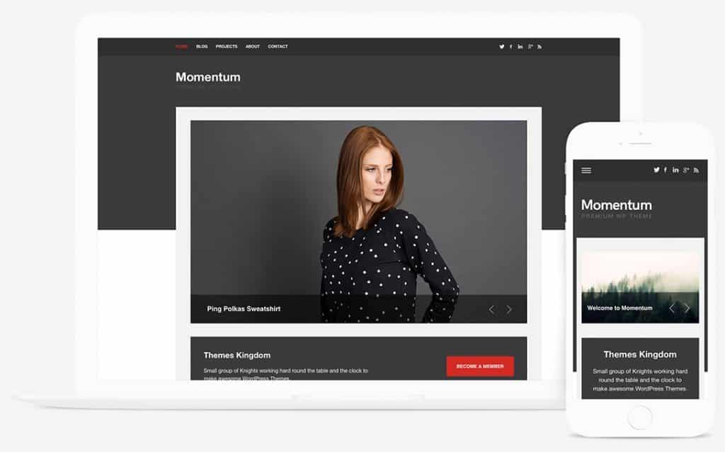Themes Kingdom Momentum WordPress Theme