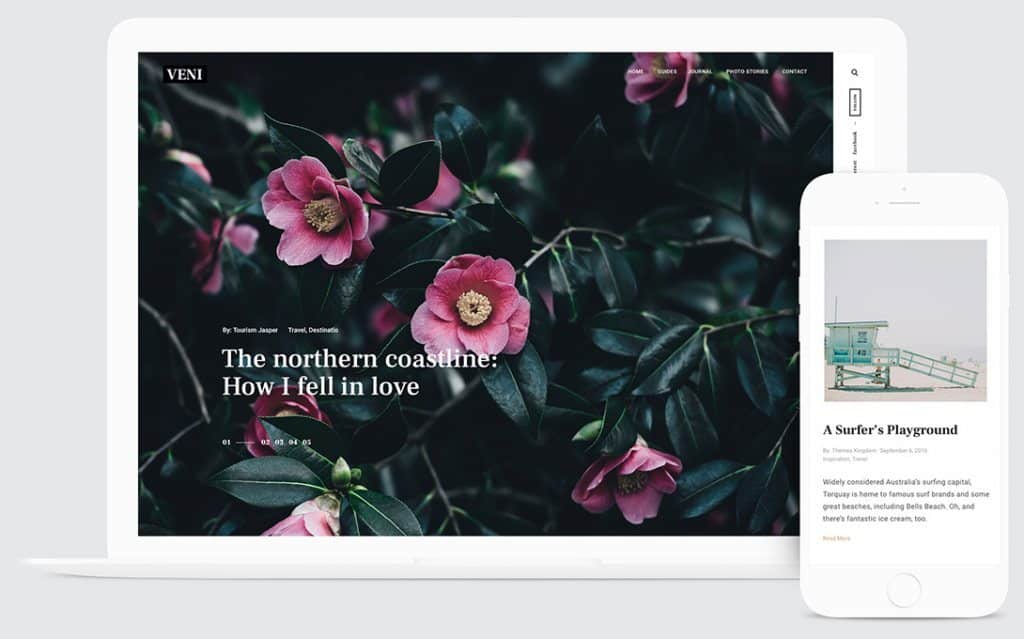 Themes Kingdom Veni WordPress Theme