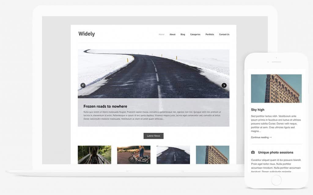 Themes Kingdom Widely WordPress Theme