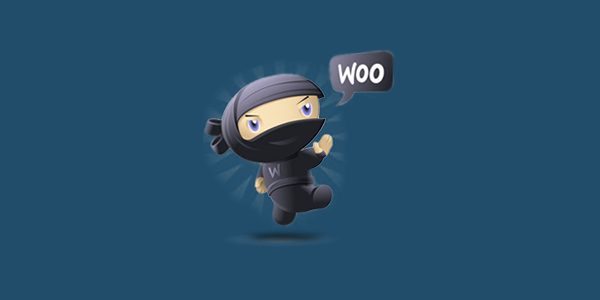 WP Rich Snippets WooCommerce Reviews Addon