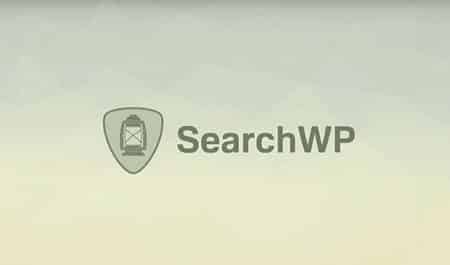 Product Image - SearchWP WordPress Plugin 4.3.16