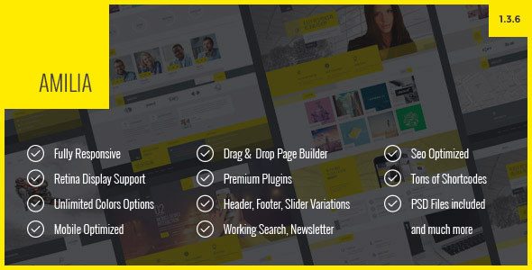 Amilia Multipurpose One Multi Page WP Theme 1.3.6.1