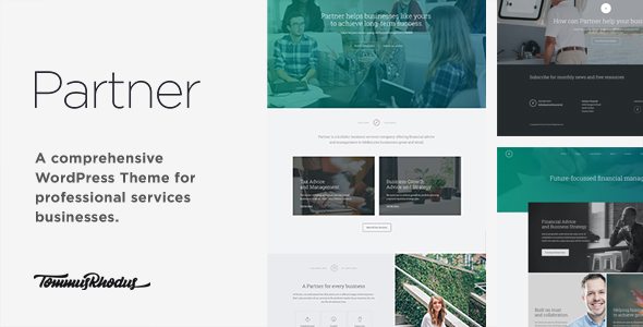 Partner - Accounting and Law WordPress Theme