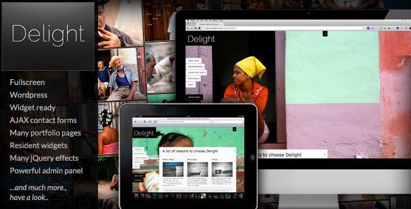 Delight Fullscreen Wordpress Portfolio Theme