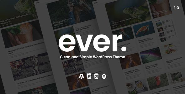 Ever Clean and Simple WordPress Theme