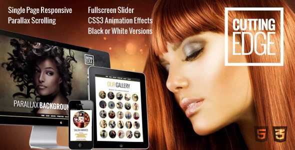 Cutting Edge Spa Hair Salon Wordpress Theme