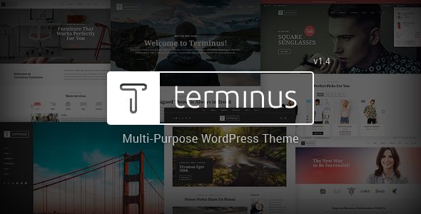 Terminus MultiPurpose WordPress Theme