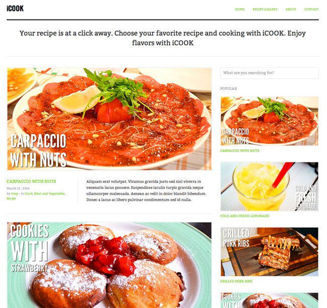 Tesla Themes Icook WordPress Theme