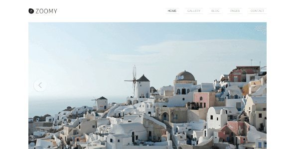 Tesla Themes Zoomy WordPress Theme