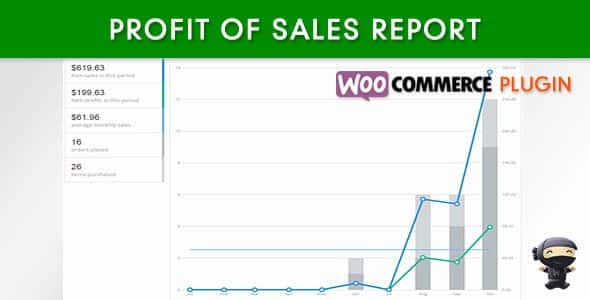 WooCommerce Profit of Sales Report