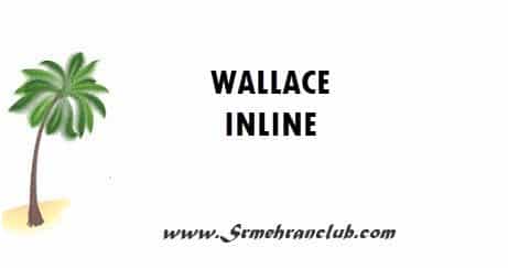 Wallace Inline WordPress Plugin