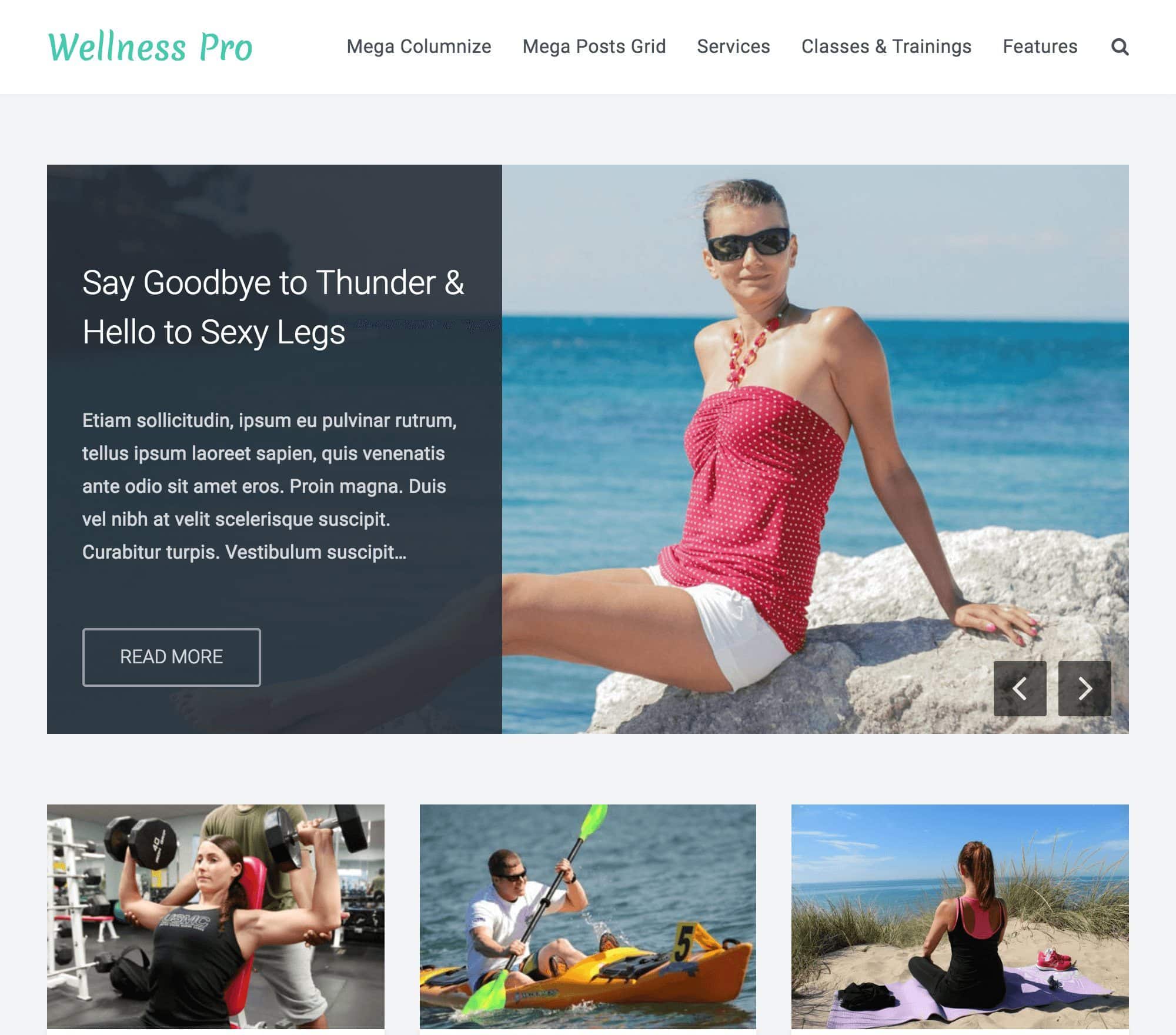 FameThemes Wellness Pro WordPress Theme