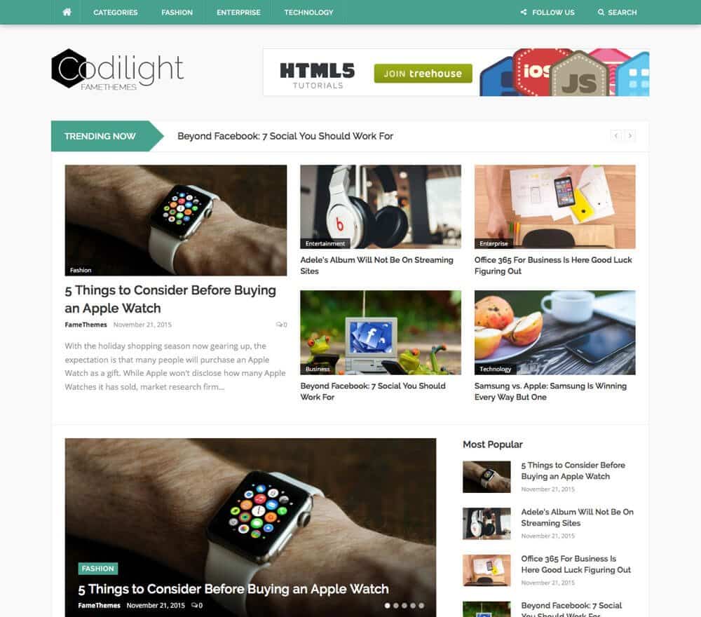 FameThemes Codilight WordPress Theme