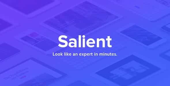 Salient - Responsive Multi-Purpose Theme 17.0.1