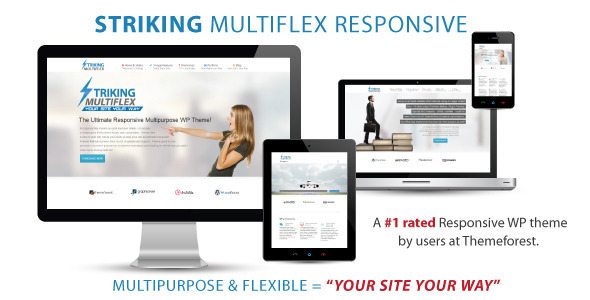 Striking MultiFlex And Ecommerce Responsive WP Theme