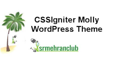 CSSIgniter Molly WordPress Theme