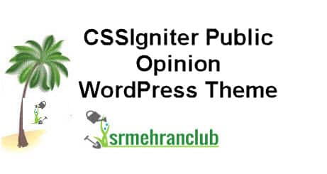 CSSIgniter Public Opinion WordPress Theme