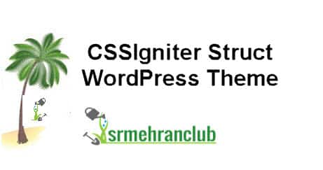 CSSIgniter Struct WordPress Theme