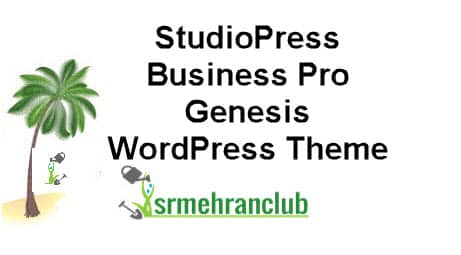 StudioPress Business Pro Genesis WordPress Theme