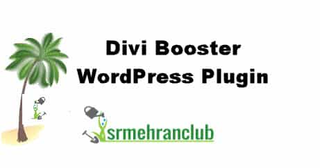 Product Image - Divi Booster WordPress Plugin 4.6.2