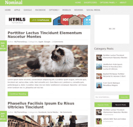 MyThemeShop Nominal WordPress Theme