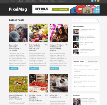 MyThemeShop Pixelmag WordPress Theme