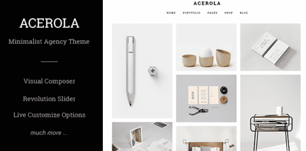 Acerola - Ultra Minimalist Agency WordPress Theme