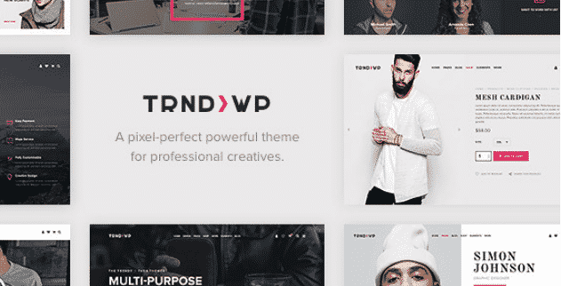 Trendy - Creative Multi-Purpose WordPress Theme